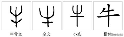 牛 古字